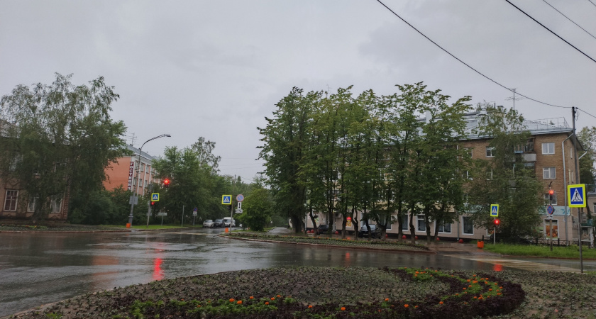 В мире погодная аномалия, а Россия – в эпицентре. Что нас ожидает и почему прогнозы ошибаются все чаще