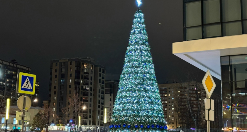 В Иркутске на новогодние дни введут усиленный режим безопасности