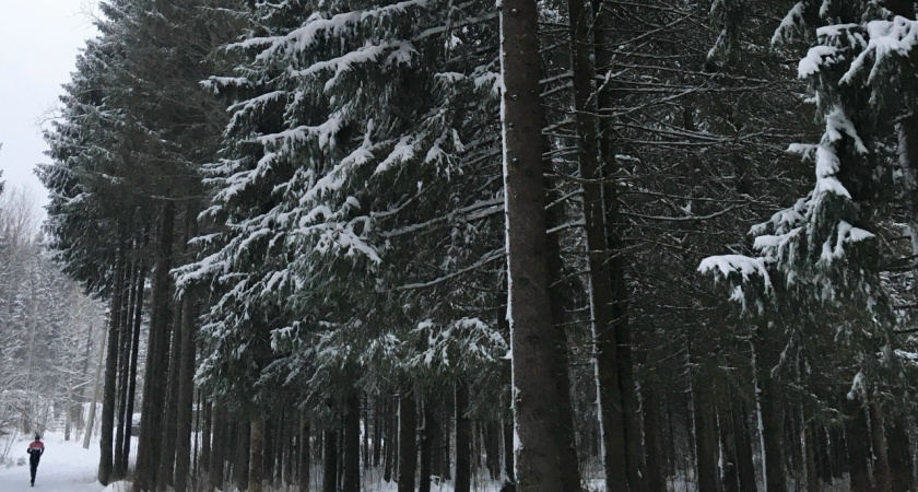 В Иркутской области 28 декабря ожидаются сильный ветер и метели