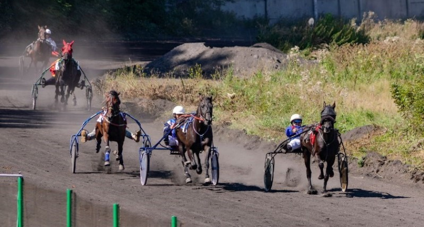 Ипподром "Байкал" официально признан племенной организацией по коневодству