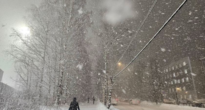 В Иркутской области 30 декабря ожидается морозная погода с переменной облачностью