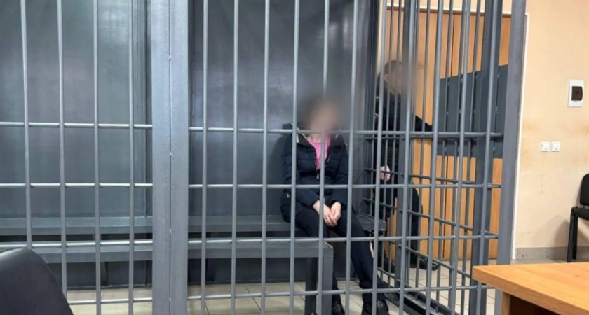 В Иркутске матери, обвиняемой в убийстве двоих детей, избрана строгая мера пресечения