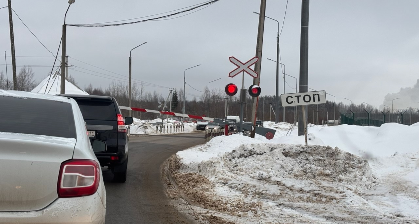 Грузовой поезд сбил насмерть мужчину и двоих детей в Иркутской области