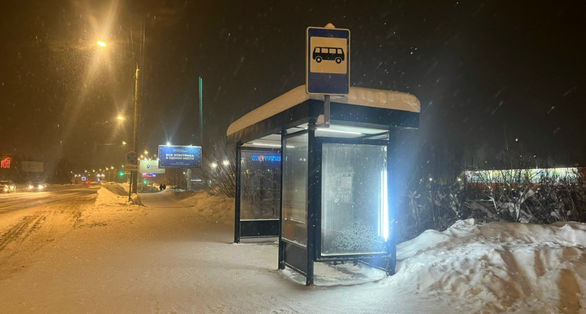 31 января в Приангарье усилится ветер и пройдёт снег