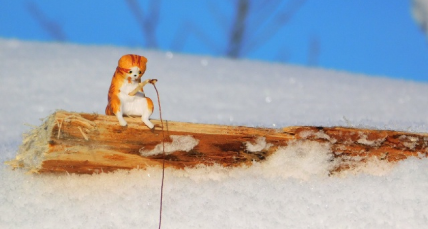 Синоптики рассказали о погоде в Иркутской области на 1 февраля