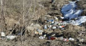 Гигантскую свалку ликвидировали в Иркутской области после вмешательства прокуратуры