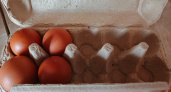 Куриные яйца не покупаю уже год: от этих 9 продуктов советуют отказаться ученые. А мы их уплетаем каждый день и детям пичкаем