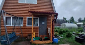 С 1 мая на теплицы вводится запрет: приняли решение для всех владельцев дач и участков - новые штрафы