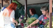 В Иркутской области расширяют сеть уличной торговли для поддержки местных производителей
