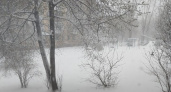Полный откат к зиме: Гидрометцентр поменял прогноз с 10 мая — придут морозы и снег