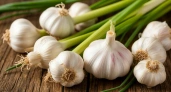 До 27 мая чесноку — непременно: 40 мл в воду — и головки будут размером с арбуз, крупными, ядреными и сочными