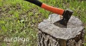 В Иркутской области лесным браконьерам выставлен счет на сотни тысяч рублей