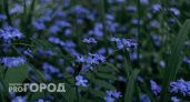 8 июня Иркутскую область ждет теплая и ветренная погода