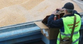 Иркутская область удвоила поставки зерновых культур в Китай