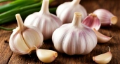 Не соль и не йод: чем подпитать погибающий чеснок – восстановление за сутки