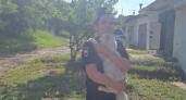 В Иркутской области полицейские спасли обессилевшего кота с высоковольтной опоры