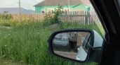 В ГИБДД обозначили категорию россиян, которым теперь не видать водительских прав
