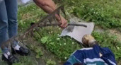 В Иркутской области задержали мужчину по делу о гибели брата в ходе бытового конфликта