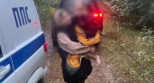Мать с ребёнком потерялись в лесу под Иркутском: как закончились поиски