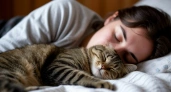Как кошки выбирают, с кем спать из хозяев и что конкретно влияет на их решение