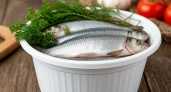 Почему нельзя покупать селедку из «белого пластмассового ведра». Раскрою основные причины обходить такую покупку стороной