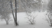 "Эта зима будет самой странной за последние 200 лет": синоптики сообщили, к чему готовиться
