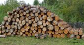 В Иркутской области суд взыскал с граждан 4 миллиона рублей за вырубку леса под незаконное строительство