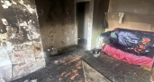 В Иркутске кошка случайно стала причиной пожара в жилом доме