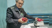 В Иркутске обнаружили признаки порчи в поставке тропических плодов из Таиланда