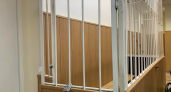 В Иркутске мужчину отправили в колонию за незаконное удержание двух детей-инвалидов