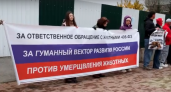 Когда молчание убивает: в Иркутске состоялся митинг в защиту животных