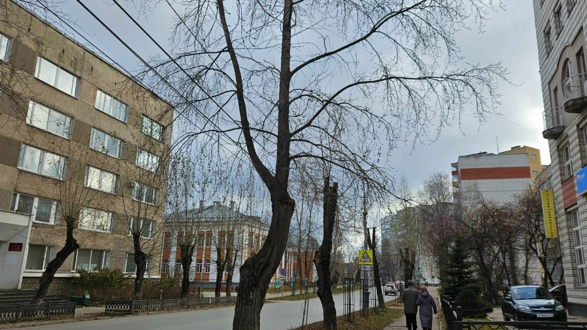 В Иркутске изменили схему перекрытия улиц на 9 Мая