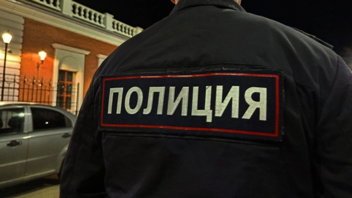 В Иркутске мужчину отправили в колонию на 2,5 года после драки с полицейским