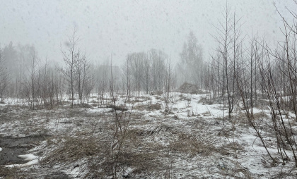 Погода в Иркутской области 4 ноября: мокрый снег, туман и колебания температуры