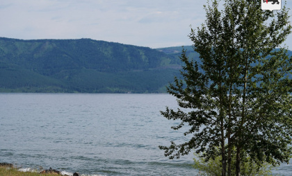 В Госдуме приняли закон, разрешающий сплошные рубки леса на Байкале