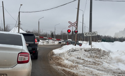 Грузовой поезд сбил насмерть мужчину и двоих детей в Иркутской области