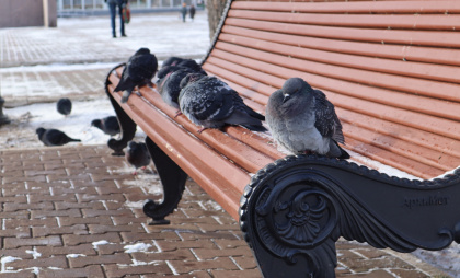 В Иркутской области ожидается аномальный холод и метели
