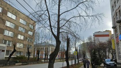 В Иркутске изменили схему перекрытия улиц на 9 Мая