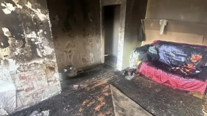 В Иркутске кошка случайно стала причиной пожара в жилом доме