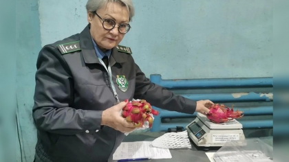 В Иркутске обнаружили признаки порчи в поставке тропических плодов из Таиланда